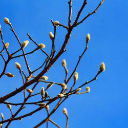 小菅トラウトガーデン 釣果