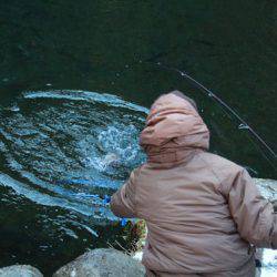 小菅トラウトガーデン 釣果