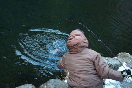 小菅トラウトガーデン 釣果