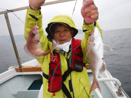 遊漁船 幸友丸 釣果