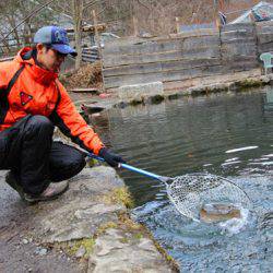 小菅トラウトガーデン 釣果