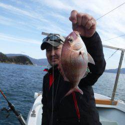 遊漁船 幸友丸 釣果