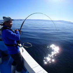 海晴丸 釣果
