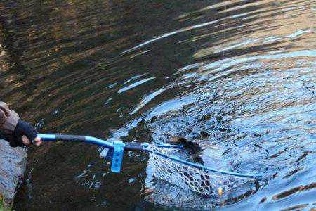 小菅トラウトガーデン 釣果