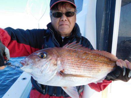 海晴丸 釣果