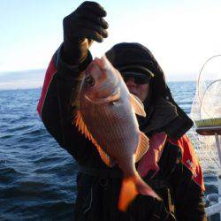 遊漁船 幸友丸 釣果