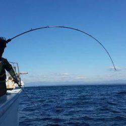 第五慶門丸 釣果