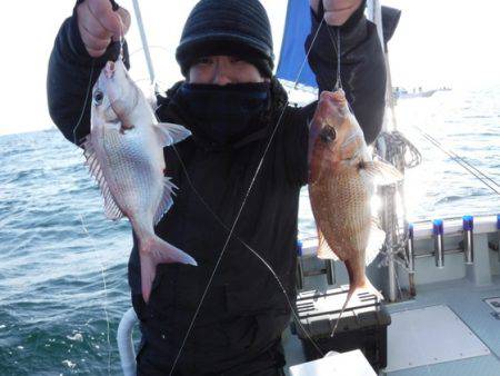 遊漁船 幸友丸 釣果