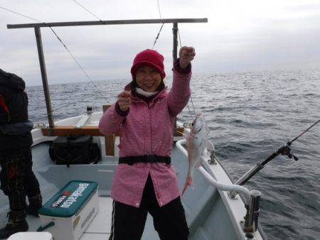 遊漁船 幸友丸 釣果