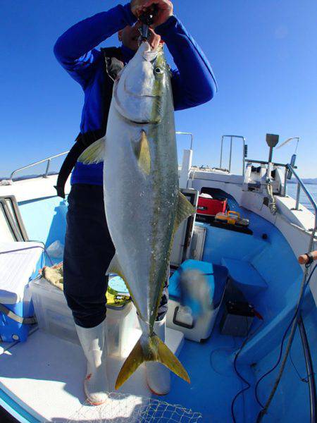 海晴丸 釣果