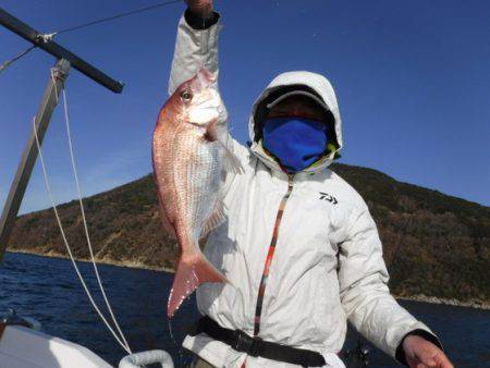 遊漁船 幸友丸 釣果