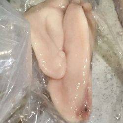 遊漁船 新鋭丸 釣果