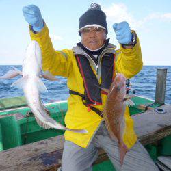 真祐丸 （しんゆうまる） 釣果