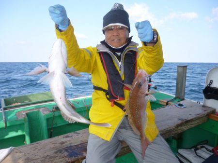 真祐丸 （しんゆうまる） 釣果