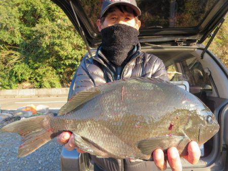 千津丸 釣果