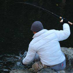小菅トラウトガーデン 釣果