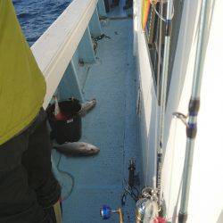 第五慶門丸 釣果