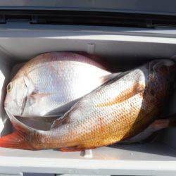 遊漁船 幸友丸 釣果