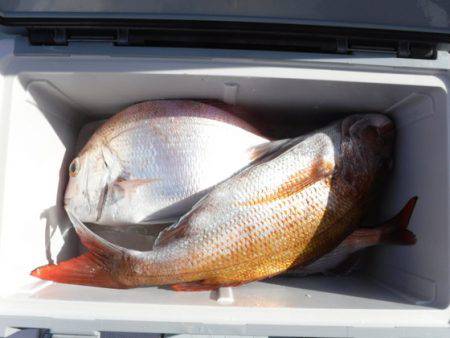 遊漁船 幸友丸 釣果