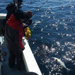 第五慶門丸 釣果