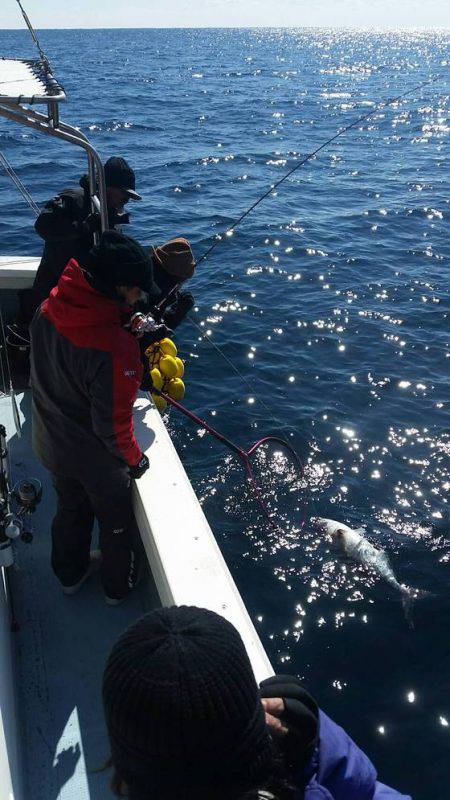 第五慶門丸 釣果