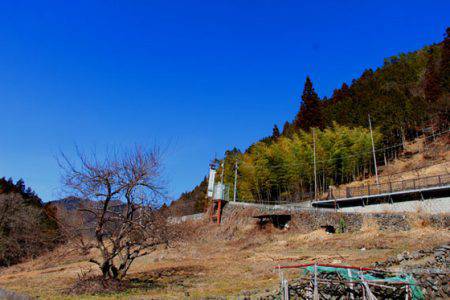 小菅トラウトガーデン 釣果