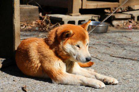 小菅トラウトガーデン 釣果