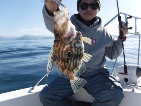 ＢｌｕｅＮｏｔｅ　Ｆｉｓｈｉｎｇ　Ｔａｘｉ 釣果