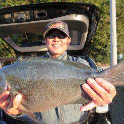 千津丸 釣果