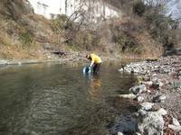 秩父フライフィールド 釣果
