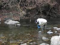 秩父フライフィールド 釣果