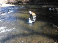 秩父フライフィールド 釣果