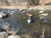 秩父フライフィールド 釣果