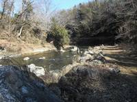 秩父フライフィールド 釣果