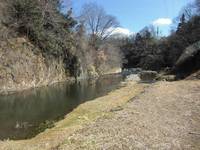 秩父フライフィールド 釣果