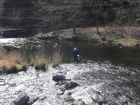 秩父フライフィールド 釣果