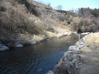 秩父フライフィールド 釣果