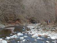 秩父フライフィールド 釣果