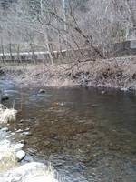 秩父フライフィールド 釣果