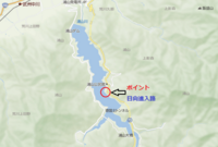 秩父フライフィールド 釣果