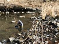 秩父フライフィールド 釣果