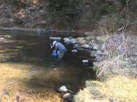 秩父フライフィールド 釣果