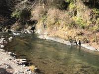 秩父フライフィールド 釣果