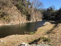 秩父フライフィールド 釣果