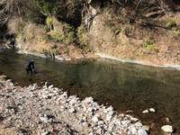 秩父フライフィールド 釣果