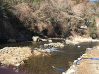 秩父フライフィールド 釣果