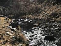 秩父フライフィールド 釣果