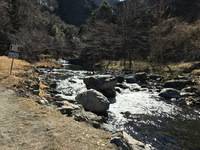 秩父フライフィールド 釣果