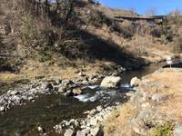 秩父フライフィールド 釣果