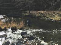 秩父フライフィールド 釣果